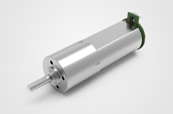 �綯������ӵ��