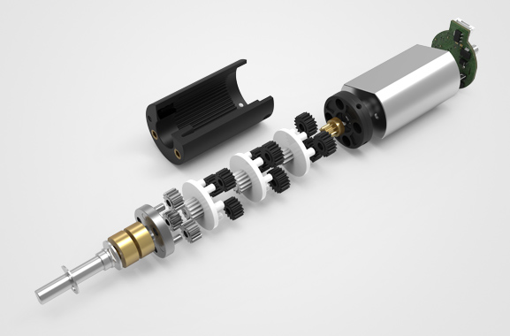 ��Ƶ���ߵ��