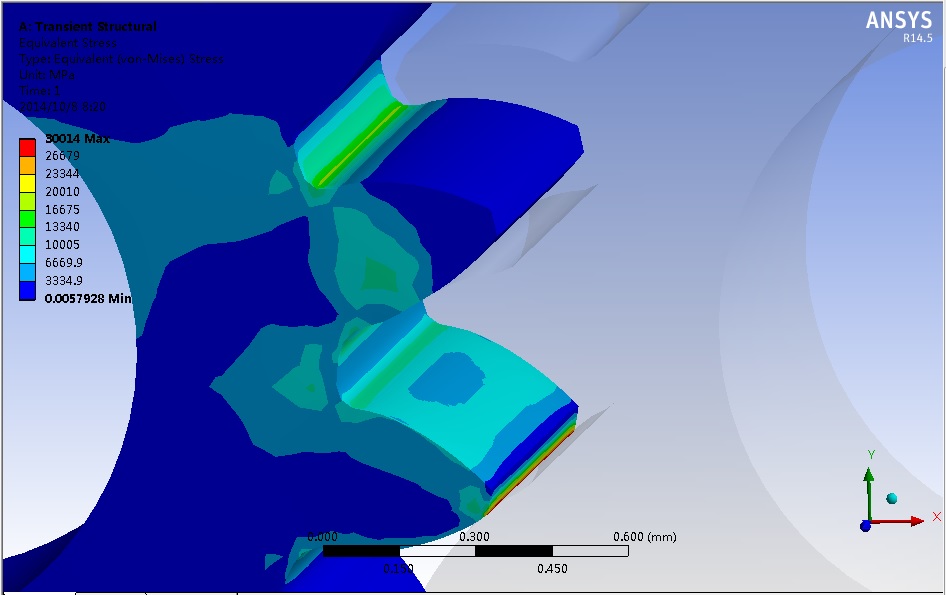 ¶Ô΢СģÊýÔ²Öù³ÝÂÖ¸±µÄÓÐÏÞÔª·ÖÎö